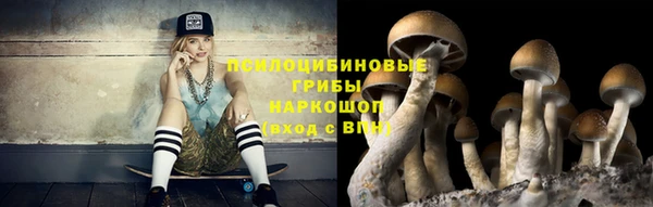 ПСИЛОЦИБИНОВЫЕ ГРИБЫ Кинешма