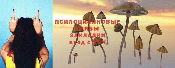 ECSTASY Киреевск